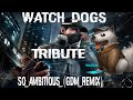 Watch Dogs Tribute - So Ambitious (GDM Remix ...