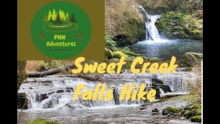 Sweet Creek Falls Hike