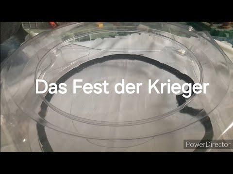 Beyblade Theorie mit Blader Fabi - Das Fest der Krieger (Deutsch/German)