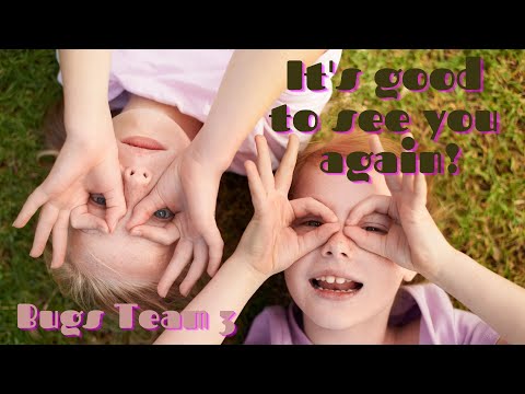 I,ts good to see you again - Bugs Team 3