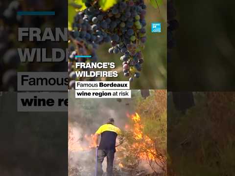 France’s wildfires: Famous Bordeaux wine region at risk