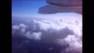 new fast automatic daffodils - these foolish things video