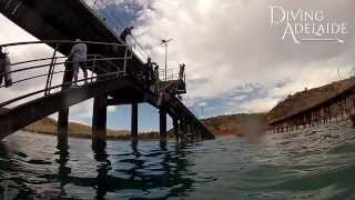 preview picture of video 'Fun Group Dive @ Rapid Bay Jetty, South Australia'