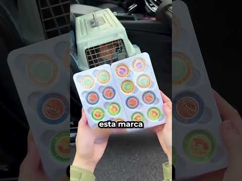 El secreto para ir al veterinario sin estrés 😳