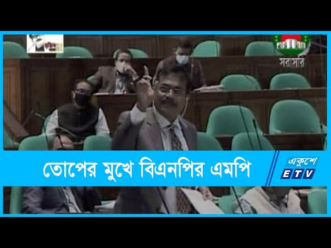 পাকিস্তানের পক্ষ নেওয়ায় সংসদে তোপের মুখে বিএনপির এমপি