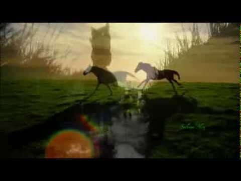 Chaim feat Meital De Razon - Love Rehab