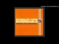Brooklyn Funk Essentials - Mombo con Dancehall