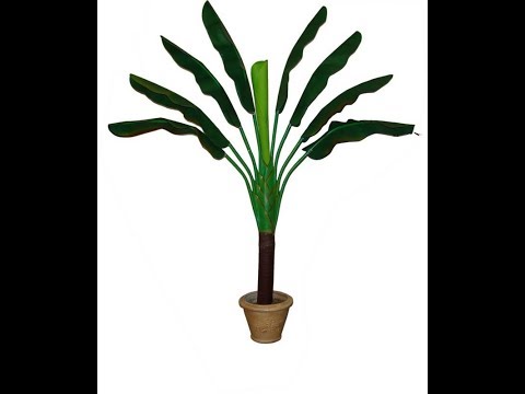 VOCAL:L'HOMME QUI AIMER LES PELUCHES:ET VIVE LES PIERRES!