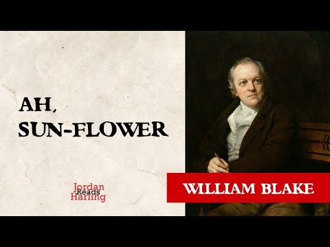 Ah! Sun-flower - William Blake poem reading | Jordan Harling Reads