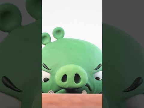 He only wanted to bounce 😆