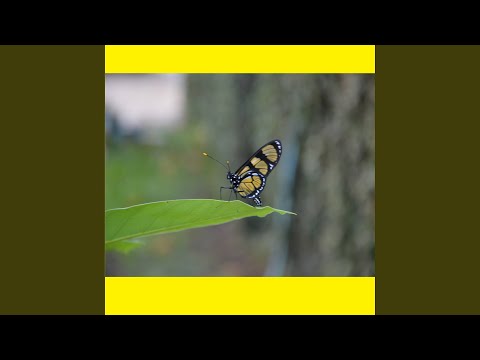 Galardão nos Espera