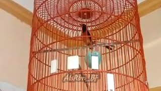 Download lagu Quots Story Whatsapp Burung Murai Batu #quotes #storywa #muraibatu #fyp #shorts #viralshorts mp3 Download lagu Quots Story Whatsapp Burung Murai Batu #quotes #storywa #muraibatu #fyp #shorts #viralshorts mp3