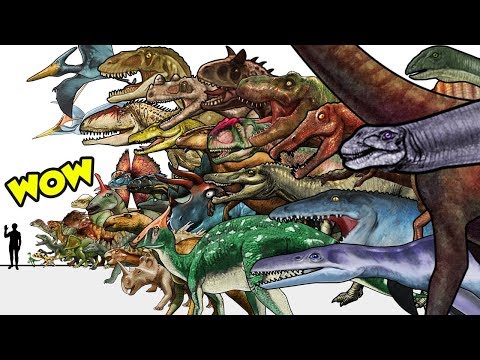 Moving Dinosaur Size Comparison | MARCHING DINOSAURS | Animated Size Comparison |공룡이름| dinosaur name
