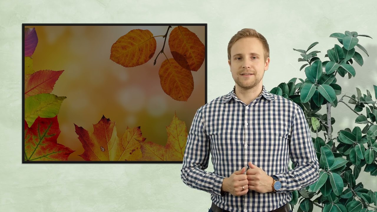 Kinderstunde | Der Sonntag als Kraftquelle