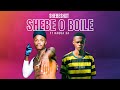 Shebeshxt - Shebe O Boile (original mix )