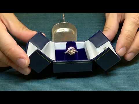 22341032 1942209416033841 8860369333801451520 n