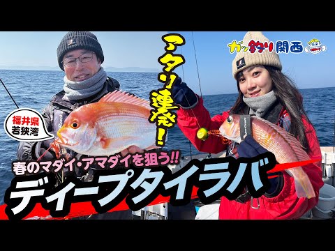 高級魚アマダイも！福井・若狭沖のディープタイラバ（ガッ釣り関西/2024年4月13日放送）