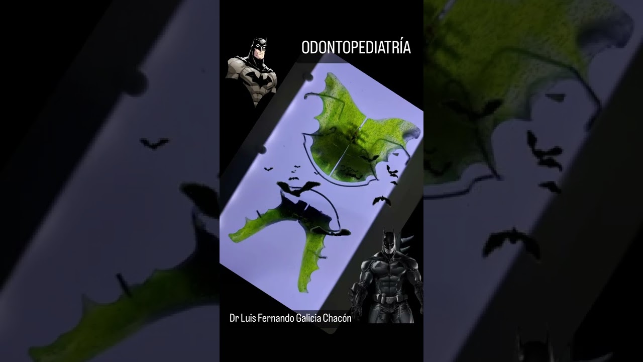 Luis Fernando Galicia Chacón-38