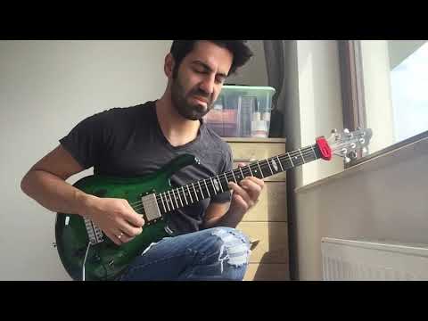 Fusion Guitar Solo with Flaxwood Rautia