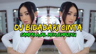 Download lagu DJ SLOW BASS | DJ SAMPAI AJAL MENJEMPUTKU KU SELALU MENCINTAIMU ANGKLUNG (BIDADARI CINTA) mp3
