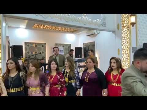 Ali Avriky u Shvan Duski