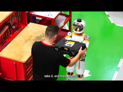 ErgoCub Video 2191