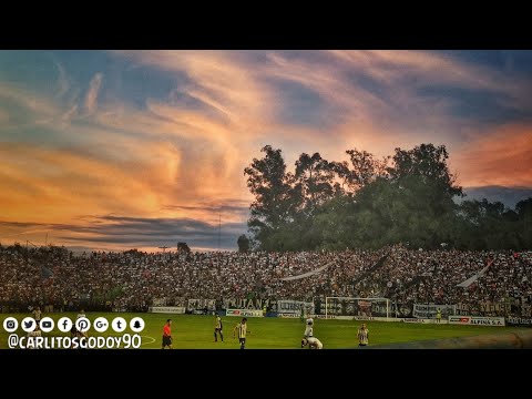 "Canta La Hinchada | Olimpia vs Capiatá | Aper 2019 | Fecha 19" Barra: La Barra 79 &bull; Club: Olimpia