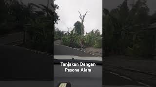 Download lagu Tanjakan Dengan Pesona Alam #popsundapopuler #sunda #lagupopsunda mp3 Download lagu Tanjakan Dengan Pesona Alam #popsundapopuler #sunda #lagupopsunda mp3