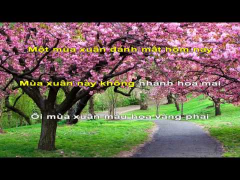 Đi tìm mùa xuân - Diệu Hiền