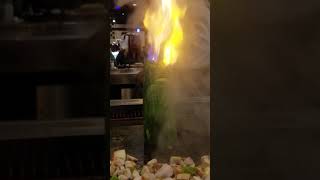 Download lagu Miyabi Japanese Myrtle Beach 10/2017 mp3