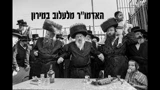 חלאק'ה לנכד האדמו''ר מלעלוב במירון