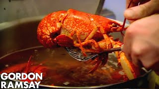 Cooking Lobster with Jeremy Clarkson - Gordon Ramsay