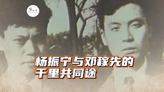 杨振宁与邓稼先的千里共同途