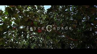 preview picture of video 'Baganga | Davao Oriental | Philippines'