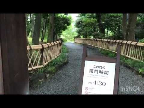 雨のお散歩「旧安田庭園」