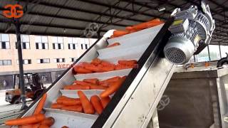 Carrot Washing Machine|fruit vegetable washing machine