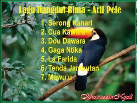 Belilah Lagu Lagu Dangdut Bima Dompu paling Hits  download lagu mp3 Download Mp3 Dangdut Bima