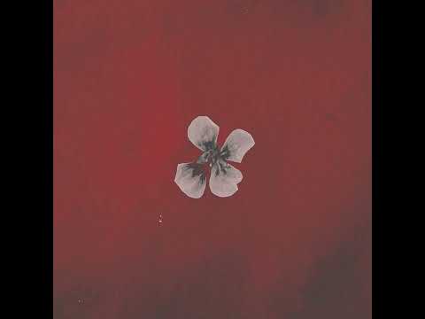 Ayush Gauchan - Maya (Acoustic)