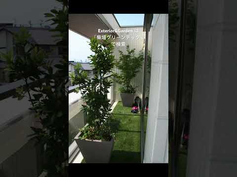 aménagement extérieur patio-meubles-métal-vert