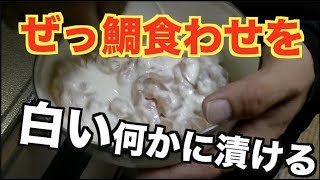 ぜっ鯛くわせを白い何かに漬け込んだら匂いが消えた