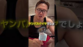 クイヤを知ったかぶりするヒカキン😂😂 #ヒカキン #切り抜き