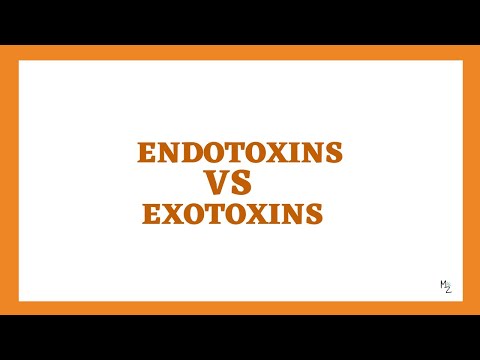 Endotoxins VS Exotoxins