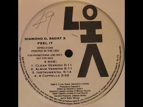 Diamond D - Feel It Instrumental