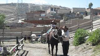 preview picture of video 'que linda vaquerita'