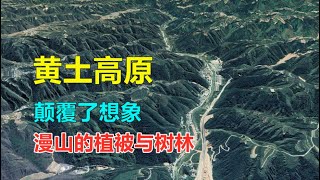 Re: [討論] 未來中國蔬果價格會不會飆升