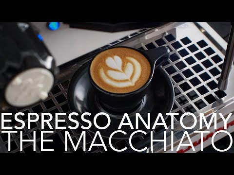 ESPRESSO ANATOMY - The Macchiato