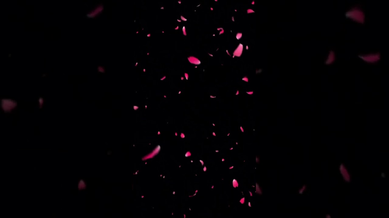 Rose Petals video effects for editing #explore #alightmotion #trending #kinemaster