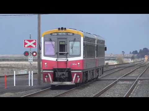 (New Camera!) Where'd You Come From?! A Pacific National Freight Train and 2 Passenger Trains!