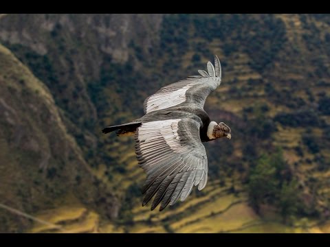 Impulsando el desarrollo sostenible en el Valle del Sondondo, Ayacucho 