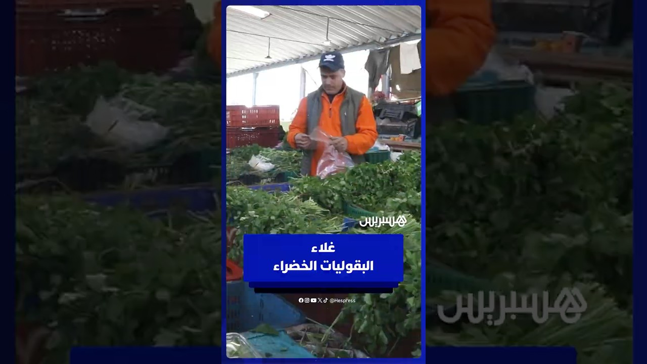 أسعار البقوليات الخضراء .. “المعدنوس” و”الكرافس” يقفزان إلى مستويات غير مسبوقة thumbnail